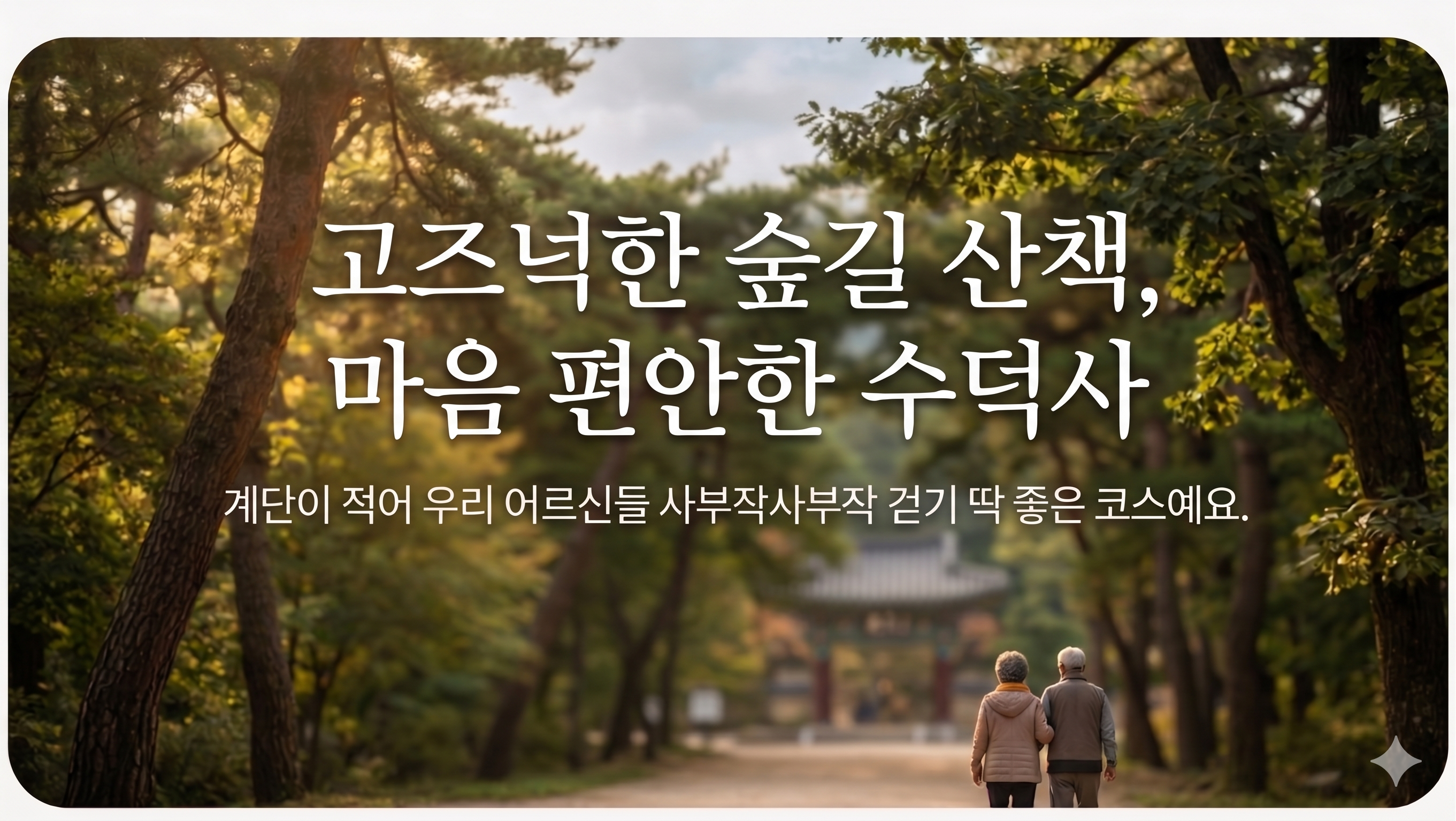 고즈넉한 숲길 산책, 마음 편안한 수덕사